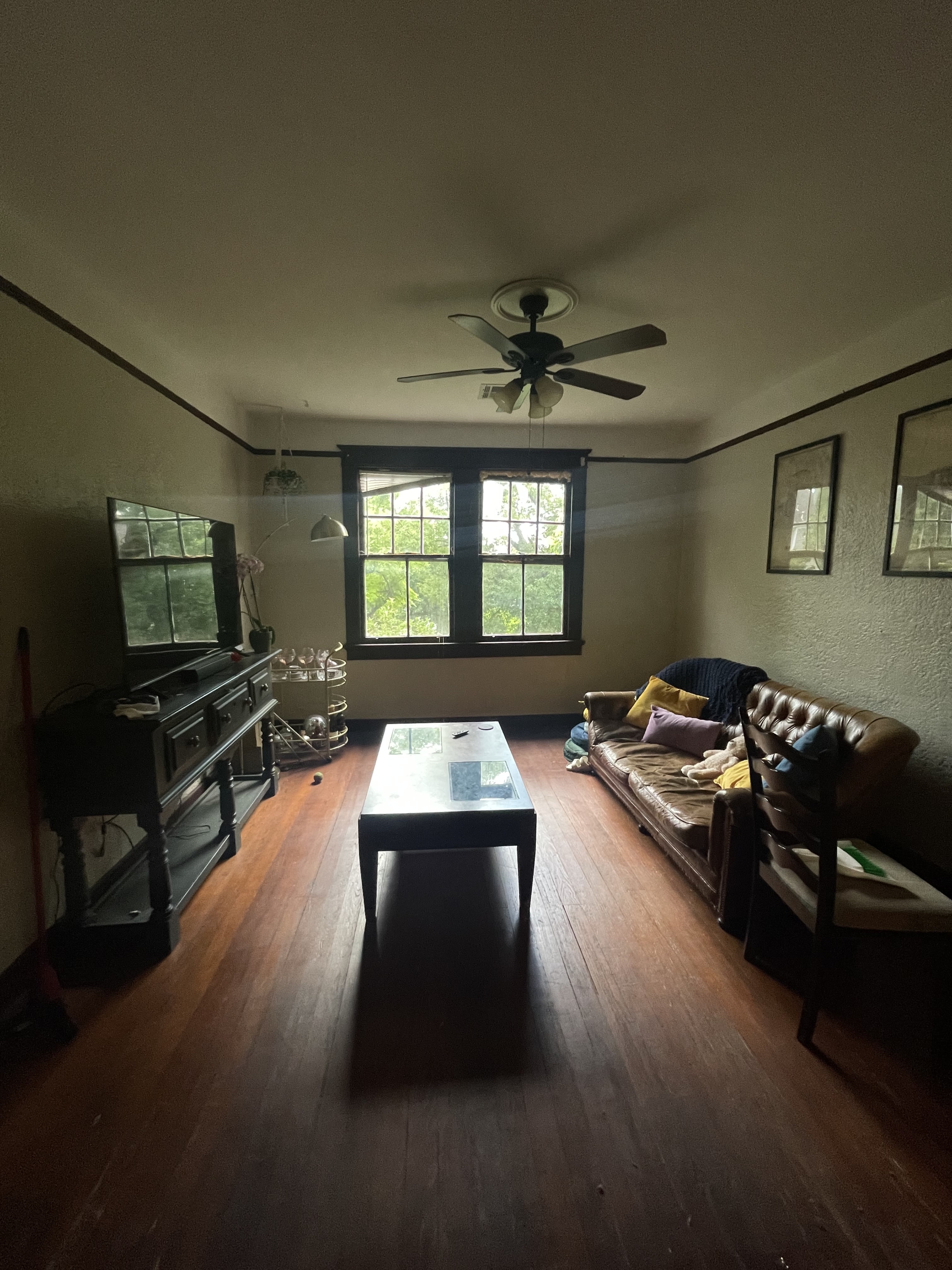 3925 Octavia Street - 1